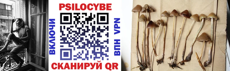 Галлюциногенные грибы Psilocybine cubensis Купить закладки Дзержинский